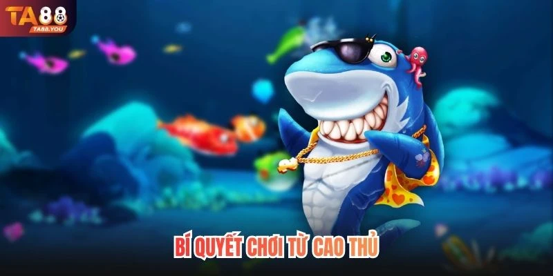 Bí quyết chơi từ cao thủ