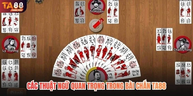 Các thuật ngữ quan trọng trong bài Chắn TA88