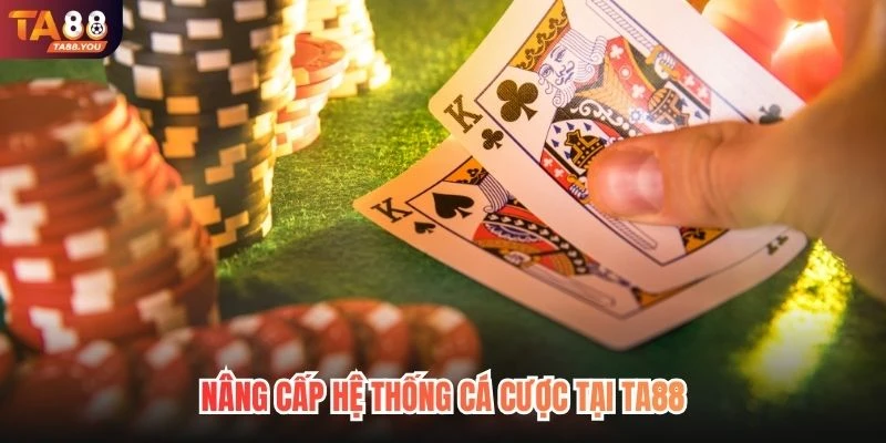 Nâng cấp hệ thống cá cược tại TA88
