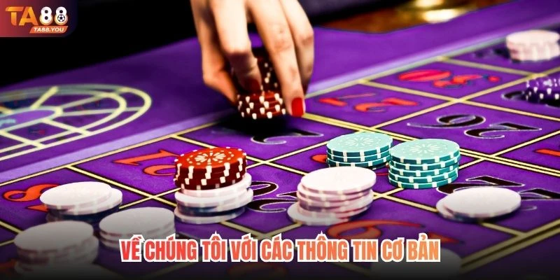 Về chúng tôi với các thông tin cơ bản